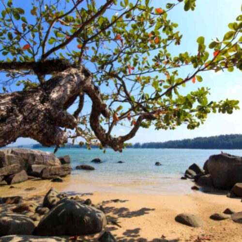 Andaman Honeymoon Escape