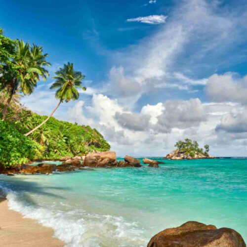 Complete Andaman