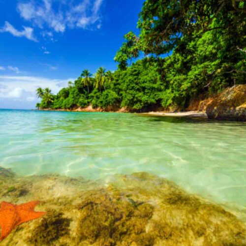 Andaman Essentials