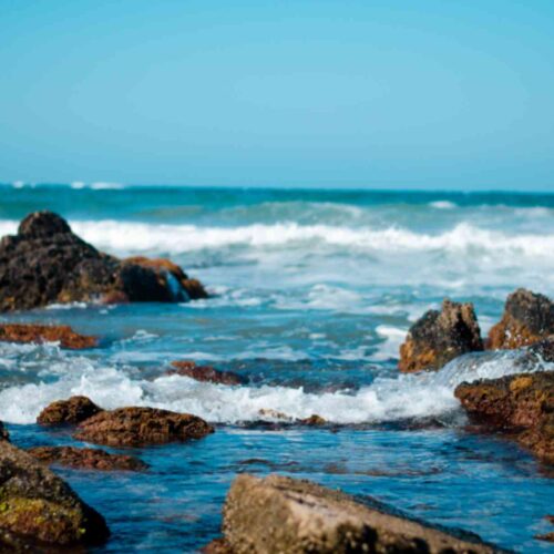 Best of Goa