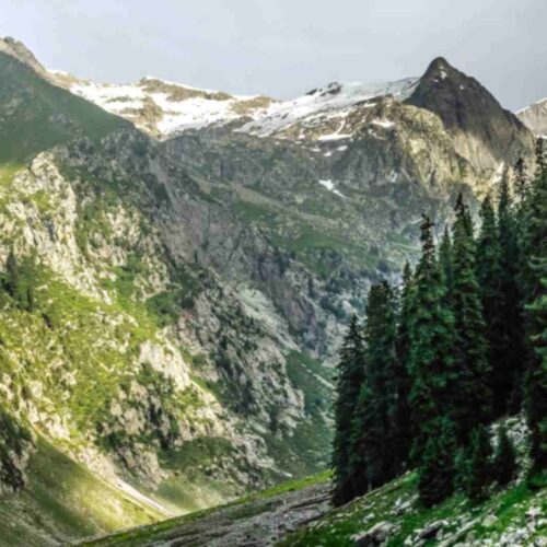 Kashmir Winter Snow Package