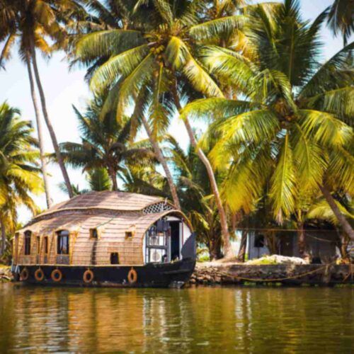 Kerala Family Tour Package