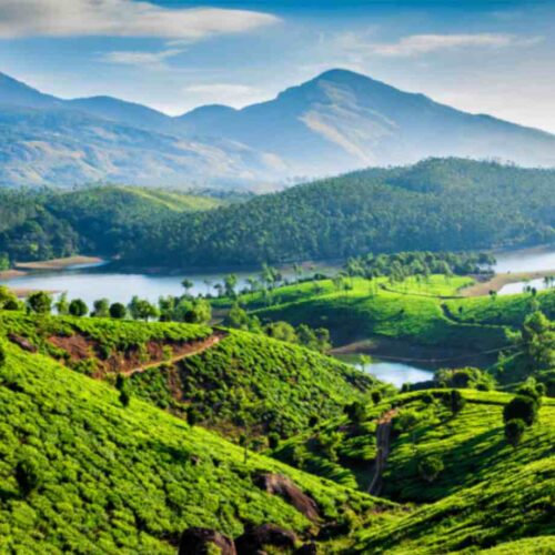 Standard Kerala Highlights