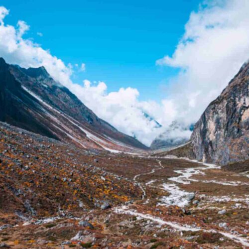 Complete Sikkim & Darjeeling Circuit