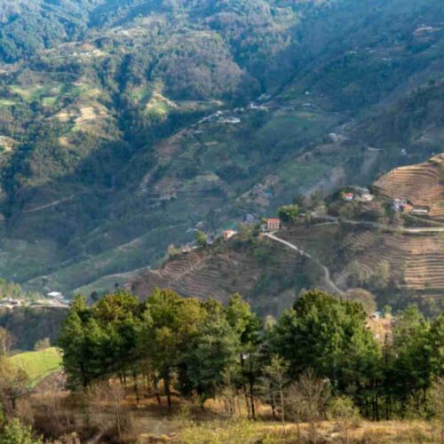 Classic Uttarakhand