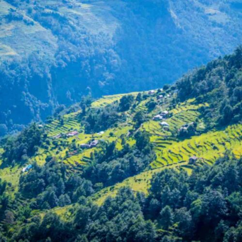 Char Dham Pilgrimage