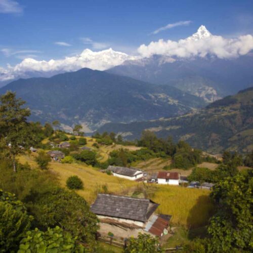 Family Uttarakhand Special